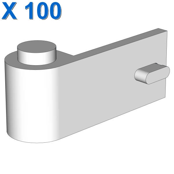 LEFT DOOR 1X3 X 100